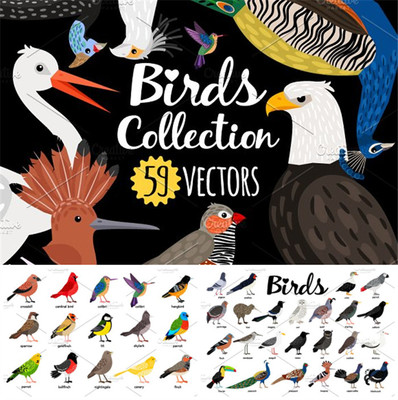 [713]AI矢量设计素材 59张鸟类插画图孔雀鹦鹉印花包装LOGO背景