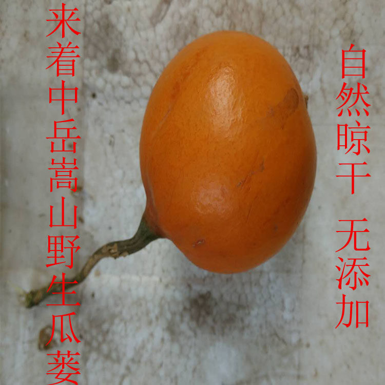 中岳嵩山野生瓜蒌 全栝楼实 全瓜蒌整瓜蒌个 可代切瓜蒌条
