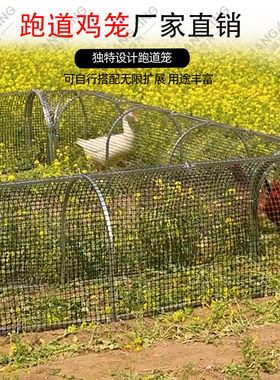 户外养鸡棚网围栏家用可折叠鸡笼子跑道走地鸡隧道室外大型塑料网