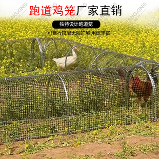 户外养鸡棚网围栏家用可折叠鸡笼子跑道走地鸡隧道室外大型塑料网