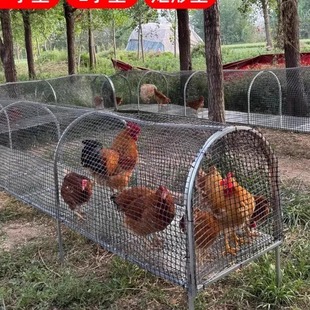 二代可折叠式鸡笼子跑道围栏离地养鸡网塑料家专用室户外养鸡棚舍