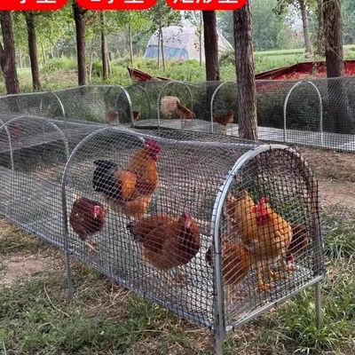 二代可折叠式鸡笼子跑道围栏离地养鸡网塑料家专用室户外养鸡棚舍