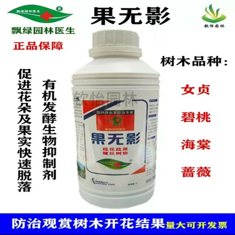 飘绿果无影绿化树木只开花不结果