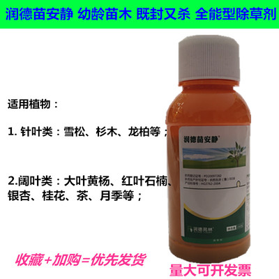 润德苗安静幼龄苗木除草剂禾本科阔叶类杂草通除绿篱月季苗木针柏