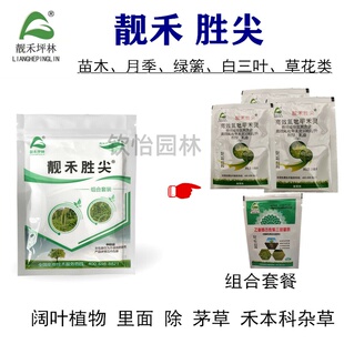 靓禾胜尖苗木绿篱月季葱兰白三叶阔叶草花类防除茅草牛筋草等杂草