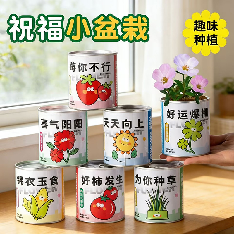 儿童罐头创意小盆栽礼物栽培桌面迷你绿植草莓向日葵种植种子盲盒