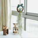 空气凤梨菠萝组合 老人须松萝无土植物室内客厅盆栽绿植花卉礼品