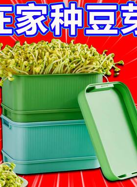 新款育苗盘家用水培大容量豆芽菜绿豆芽芽苗菜种植黄豆芽无土发芽