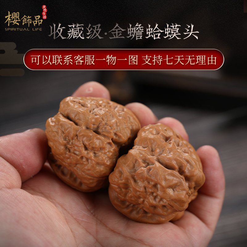老树开背金蟾蛤蟆头 手工精挑精选