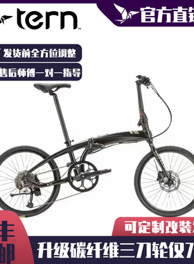 TERN燕鸥D9 Verge D9折叠车451折叠自行车20寸铝合金车架油碟燕欧
