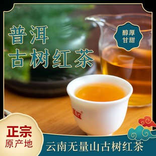 云南普洱茶景东无量山古树红茶 散茶 礼盒装 罐装 滴水坎茶缘居
