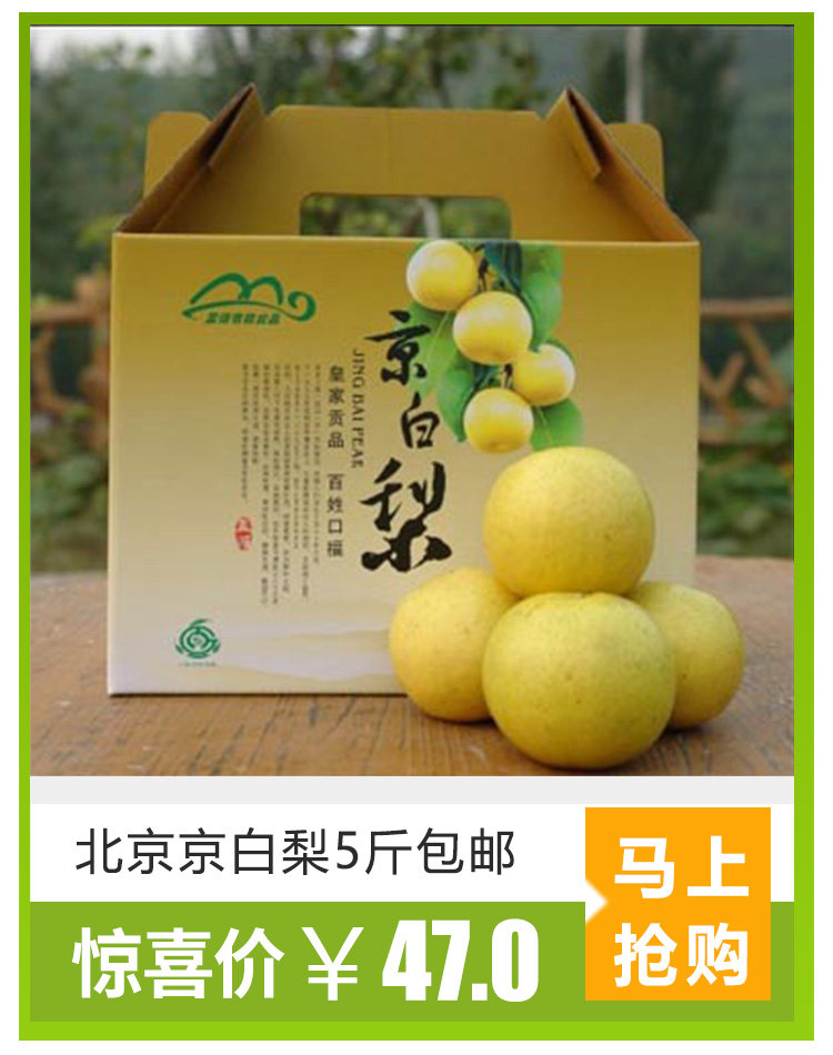 北京特产门头沟京白梨军庄京白梨水果礼盒新鲜多汁水果包邮五斤