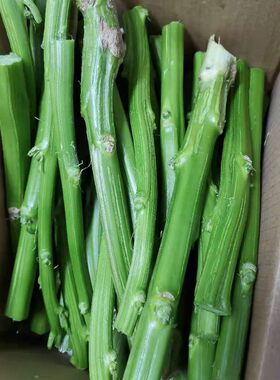 浙江农家汉菜梗  绍兴臭豆腐卤水原料    新鲜苋菜梗