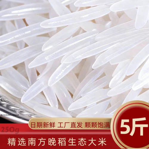 猫牙米长粒香现磨现发煲仔饭