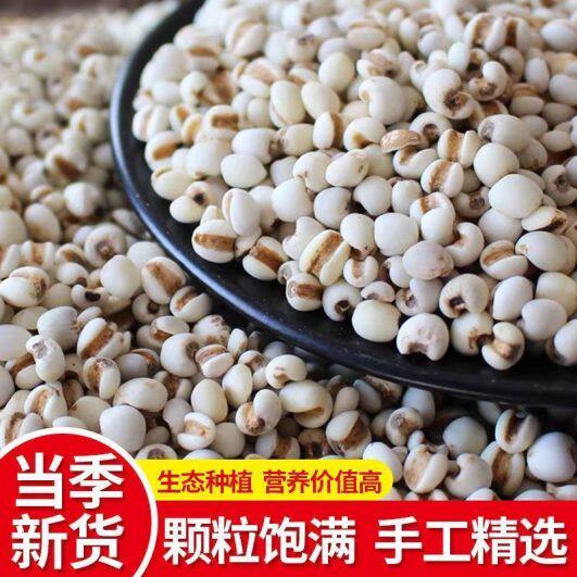 5斤正宗薏米仁2025贵州薏仁米红豆粥赤小豆新货新米商用五谷杂粮