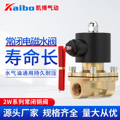 全铜常闭电磁阀水阀开关220v气阀