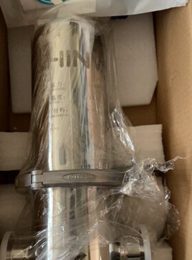 山东新华脉动真空灭菌器在线灭菌科百特过滤器XH-AF-010542CF250H