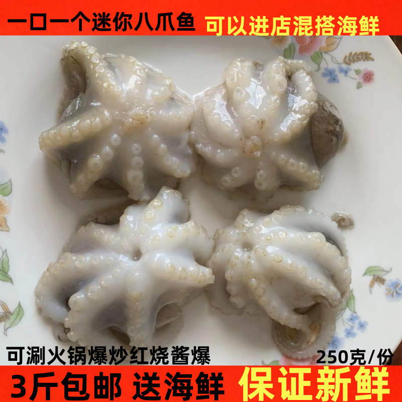 迷你八爪鱼小章鱼海鲜迷你小八爪小章鱼野生熟冻火锅食材捞汁海鲜 水产肉类/新鲜蔬果/熟食 冷冻章鱼 原图主图