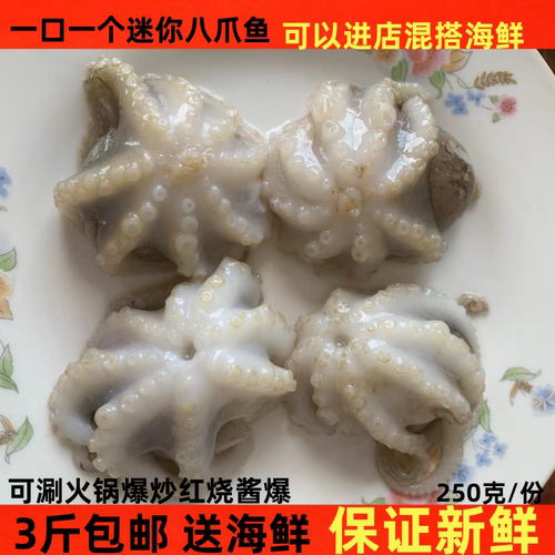 小八爪野生捞汁海鲜包邮