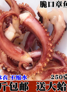脆口新鲜冷冻迷你烧烤食材章鱼须
