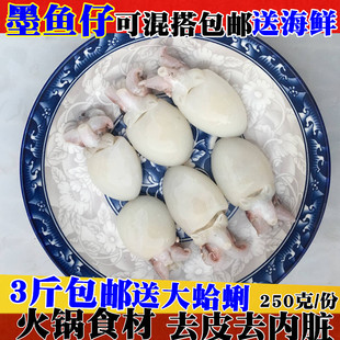 新鲜小墨鱼仔鲜活冷冻小乌贼目鱼仔速冻墨斗鱼小章鱼火锅食材海鲜