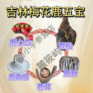 鹿五宝全鹿膏大补丸全鹿干梅花鹿胎鹿角帽鹿心血鹿骨粉含血干鹿茸