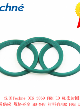 原装正品法国Techne DIN3869 M14*1.5FKM1/4