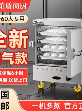 耐用15年！米饭蒸饭柜家用商用