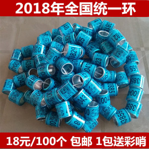 【鸽子脚环图片】鸽子脚环图片大全