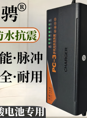 品骋电动车充电器60v20ah48v72伏32a38a45a58a安三轮车电瓶车通用