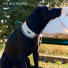 Not Just Pajama Pony小马系列40姆米丝毛缎幸运符宠物围脖
