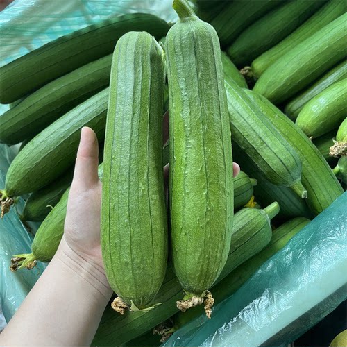 农家自种新鲜蔬菜青丝瓜绿丝瓜