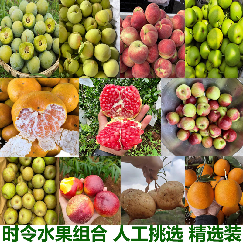 新鲜水果当季时令水果组合梨子桃子石榴蜜桔油桃白地瓜水蜜桃精选