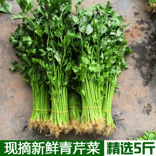 湖北农家自种土香芹新鲜蔬菜小芹菜绿芹菜西芹香芹青芹菜青菜包邮