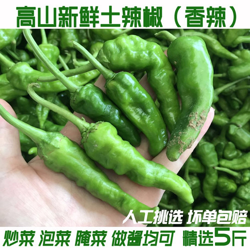 新鲜薄皮农家自种原产地直销辣椒