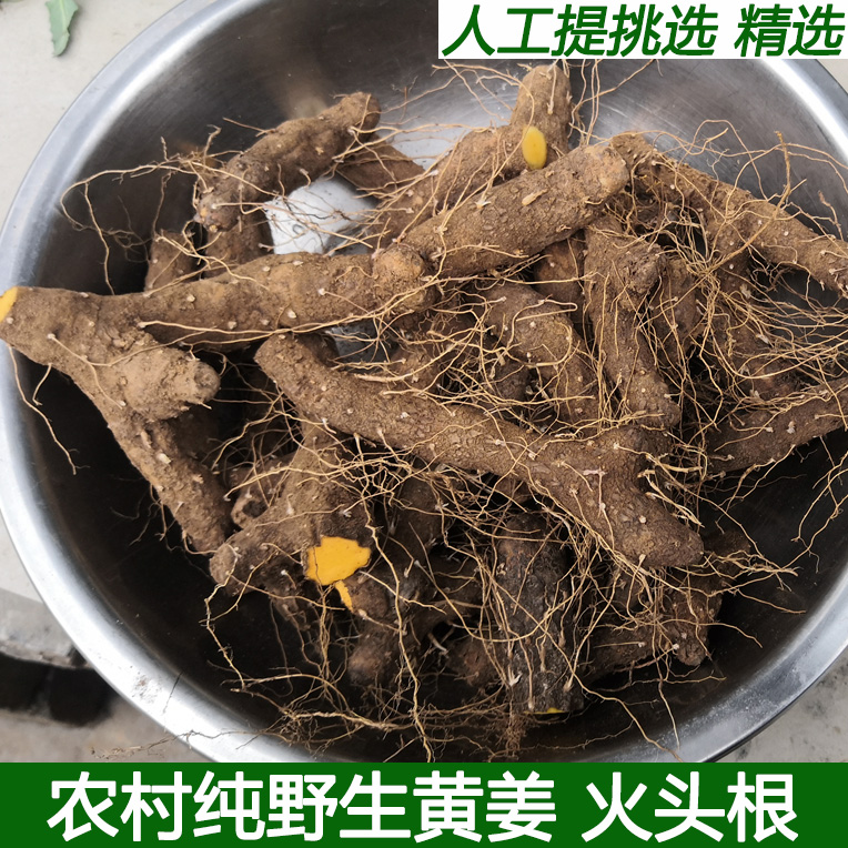 野生黄姜农村野黄姜火藤根黄姜种盾叶薯蓣新鲜生火头根精选包邮