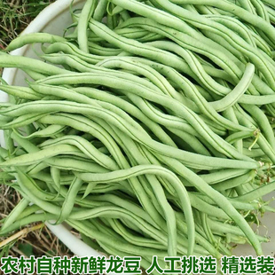 湖北农家自种豆角新鲜蔬菜架豆王豆角无筋芸豆龙豆现摘现发包邮