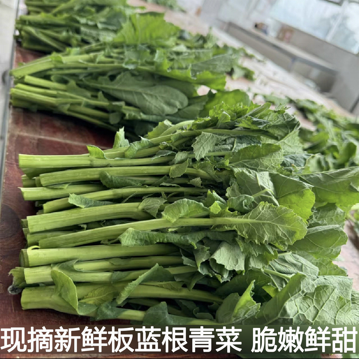 板蓝根新鲜青菜油菜苔油菜尖湖北农家露天油菜苗叶青菜苔现摘现发