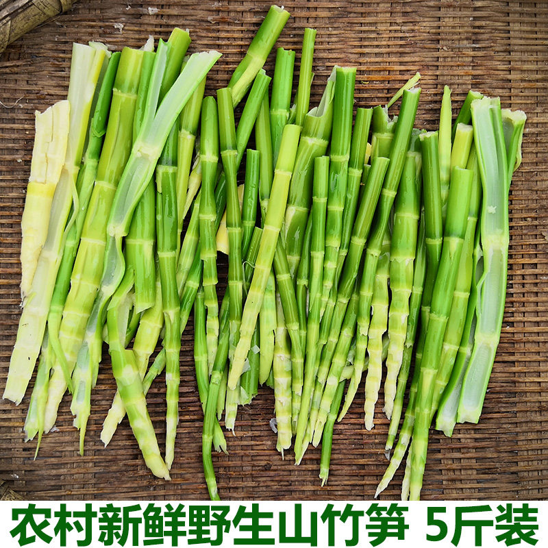 农家新鲜山竹笋新鲜现挖春竹笋去壳细笋水竹笋小春笋春笋手剥笋