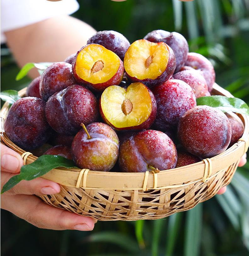 新鲜脆红李新鲜水果脱骨李子茵青红脆李甜孕妇蜂糖李精选装包邮