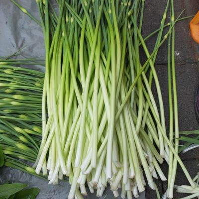 农村自种新鲜蒜苔农家嫩蒜薹蒜头食品蔬菜蒜毫蒜薹青蒜苗精选包邮