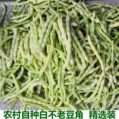 湖北新鲜蔬菜豆角老来少