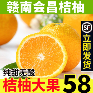 江西赣州会昌桔柚10斤新鲜水果现摘当季整箱纯甜柚子大果顺丰包邮
