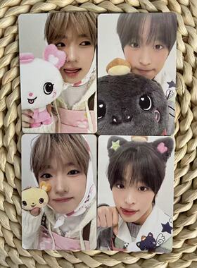 NCT WISH 藤永咲哉前田陸烘焙快闪满额小卡 正品sakuya随机卡