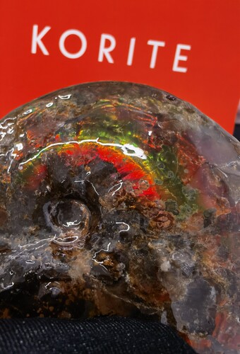 加拿大天然斑彩宝石，korite品牌，二纹螺