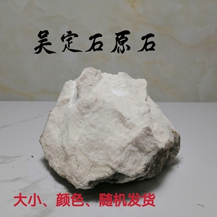 吴定石原石菖蒲盆吸水石金钱附石上水石花盆造景假山观赏石雕摆件