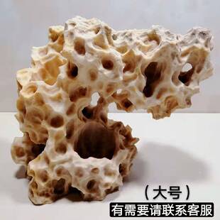 吴定石 吸水石 台湾太湖石 盆景石 虎须附石菖蒲盆