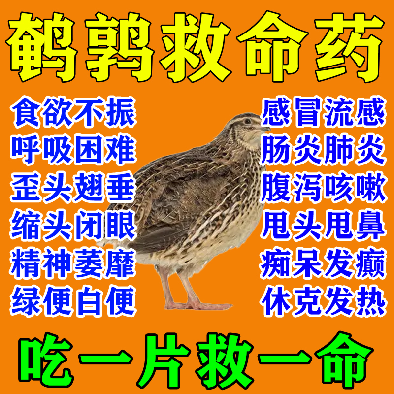 【一吃就好】鹌鹑专用急救药