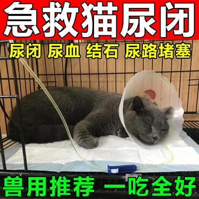 尿甚舒i通牛肉锭疏通猫咪宠物尿道感染膀胱炎结石尿频泌尿通药片