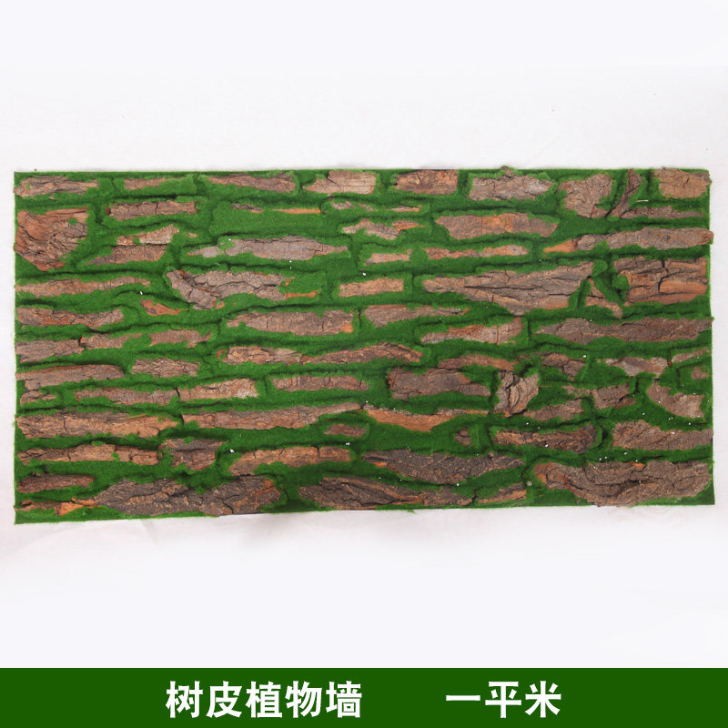 园林景观大叶鸟巢蕨花箱绿植